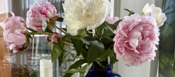 Nieuwe cursus: Woorden voor rouw